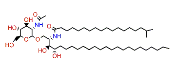 Halicylindroside A4